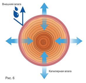 123456.jpg 123456.jpg